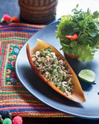 Ground turkey laap