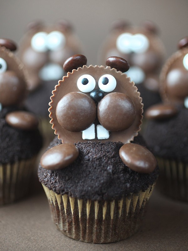 Groundhog day cupcakes