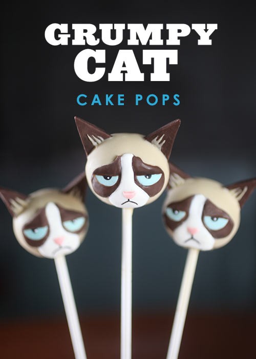 Grumpy cat cake pops