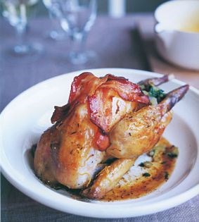 Guinea fowl