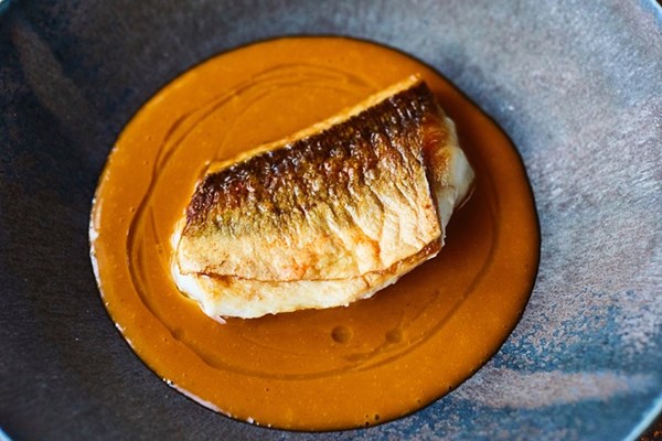  Gurnard with Porthilly sauce