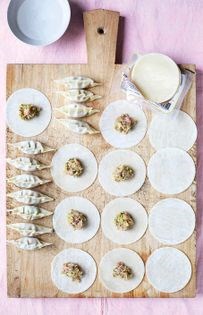 Gyoza dumplings