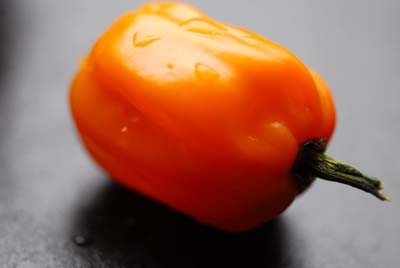 Habanero peach salsa