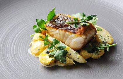 Hake fillet with golden beet and radish salad