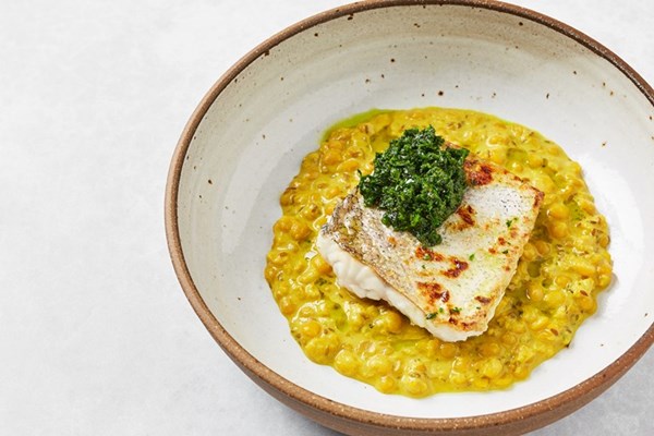Hake with zhoug and yellow split pea dahl