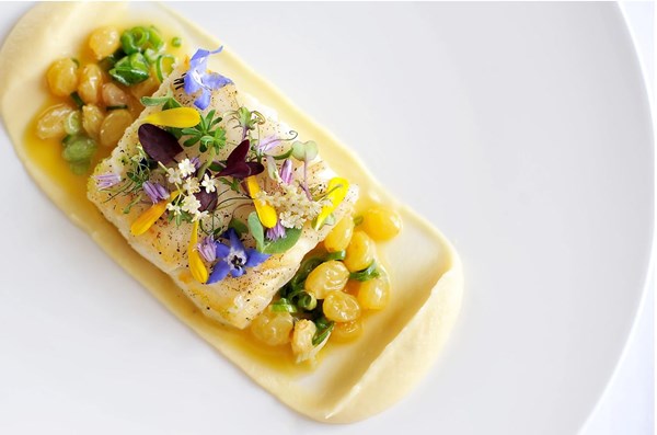 Halibut glazed with lardo, parsnip purée & a verjus & spring onion sauce [Simon Hulstone]