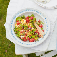 Halloumi with rocket & roasted tomatoes