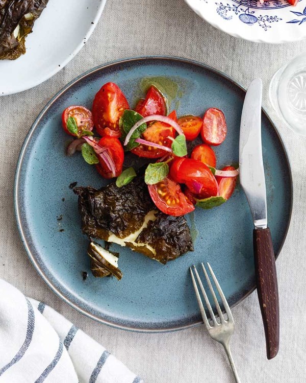 Haloumi baked in vine leaves with tomato salad