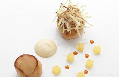 Hand-dived scallops with celeriac and truffle purée