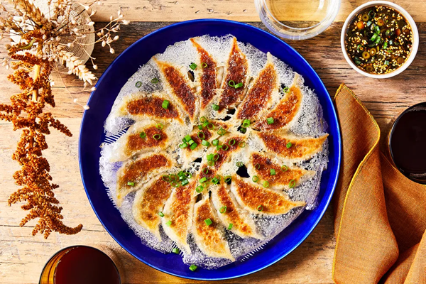 Hanetsuki gyoza with Thanksgiving leftovers