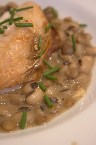 Harissa roast chicken with beans & lentils