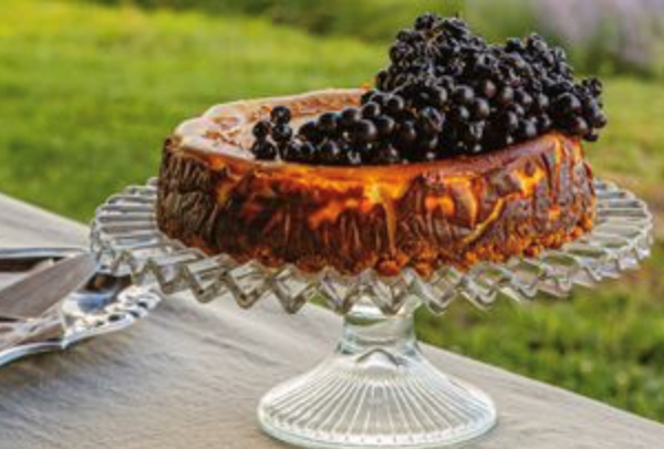 Harvest cheesecake with roasted grapes [Annie Conley]
