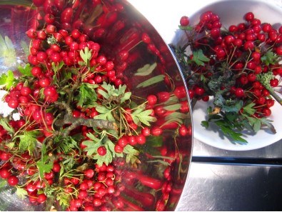 Hawthorn berry chutney