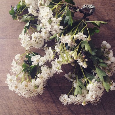 Hawthorn blossom syrup
