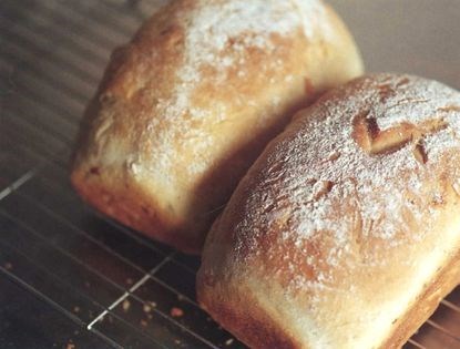 Hazelnut and apricot bread