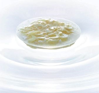 Heart of palm, spanner crab, white corn juice