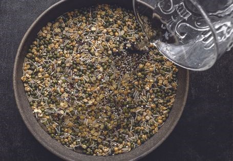 Hearty masala khichadi