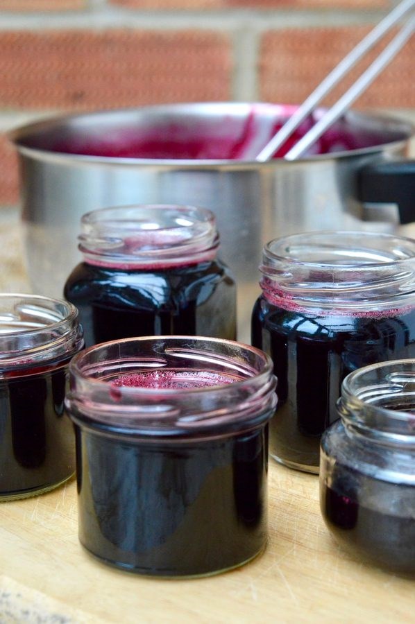 Hedgerow jelly
