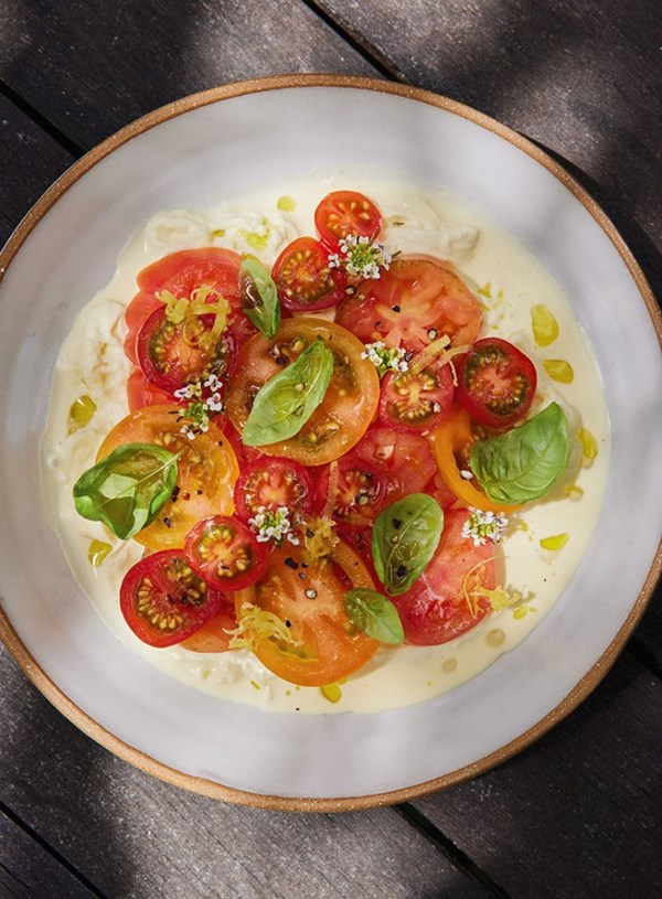 Heirloom tomatoes & stracciatella with summer herbs