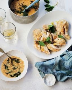 Hen broth with fregola, poached hen (Gallina in brodo con fregola)
