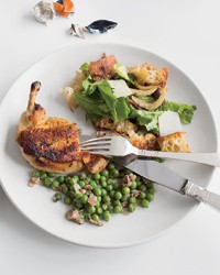 Herb-butter roast chicken with Tuscan-style bread salad