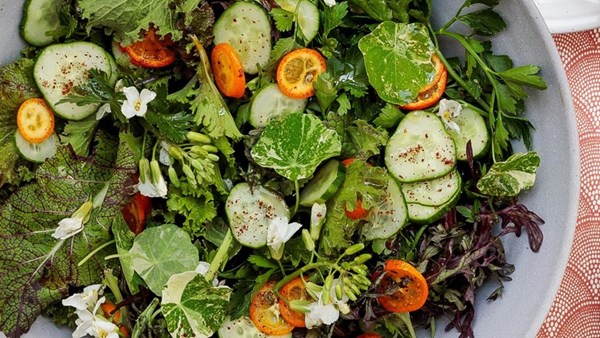 Herb, kumquat, and cucumber salad with sumac dressing
