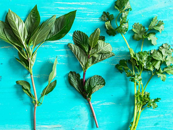Herb oil