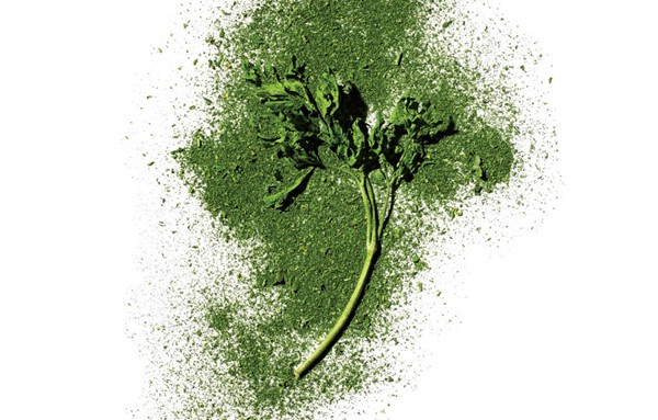 Herb powder