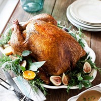 Herb-roasted turkey