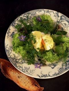 Herb salad from the garden with a poached eggs