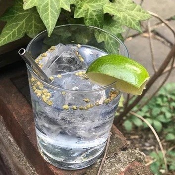 Herbaceous gin-tonic [Katie Goeller]