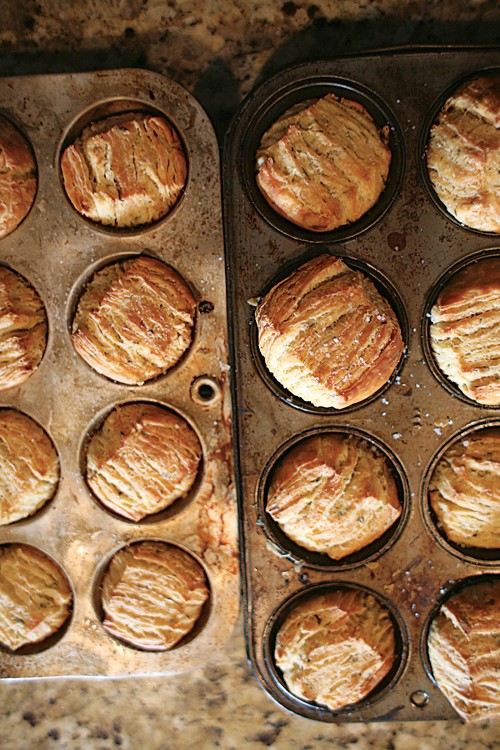 Herbed butterflake rolls