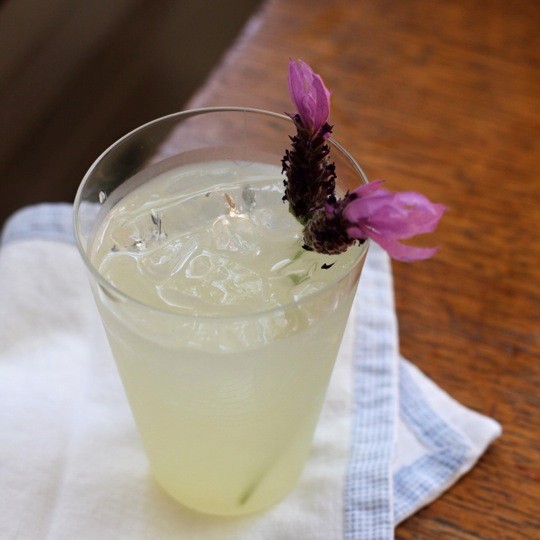 Herbed lemonade or limeade