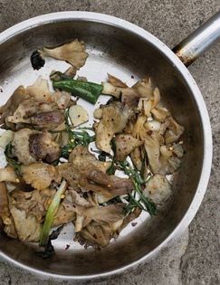Herbed oyster mushrooms (Soko)