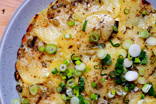 Herbed summer squash and potato torte