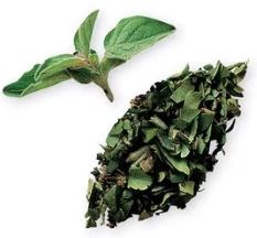 Herbes de Provence