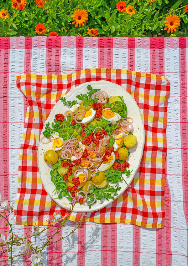 Herby potato and chorizo salad