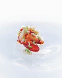 Hermit crab, fermented chilli & bean blossoms