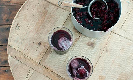 Hibiscus cooler