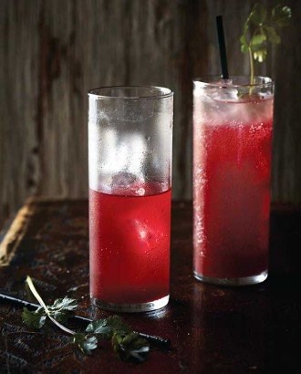 Hibiscus punch
