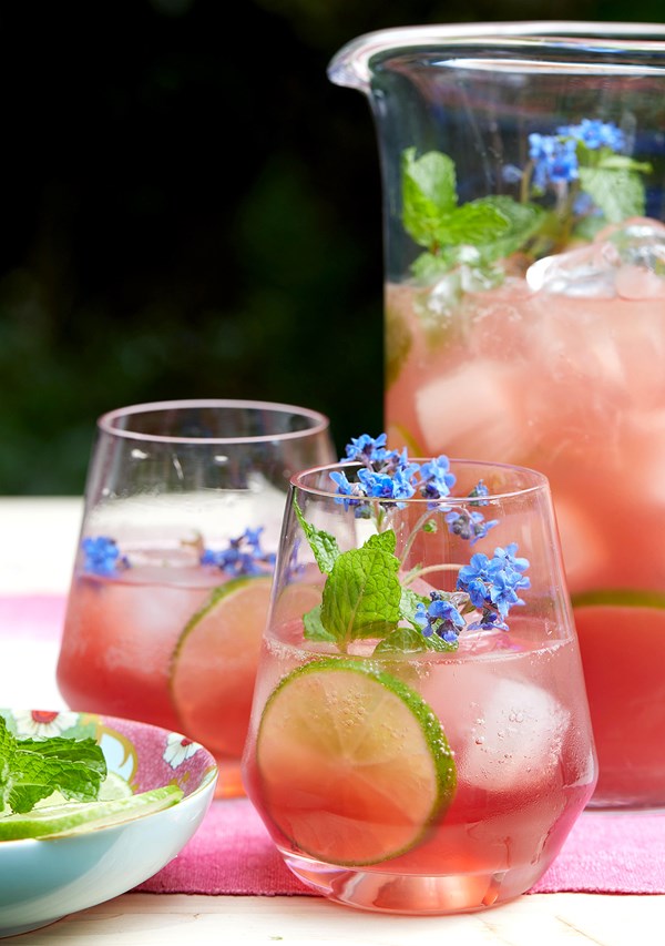 Hibiscus punch