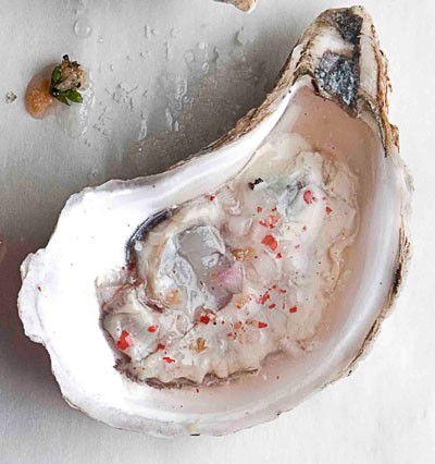 Highlands oyster mignonette
