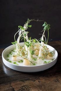 Hokkaido scallops cured with lime sugar, with green strawberries, coriander & wood sorrel