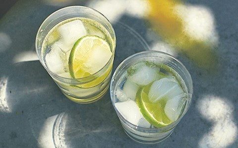 Home-made elderflower  gin and tonic