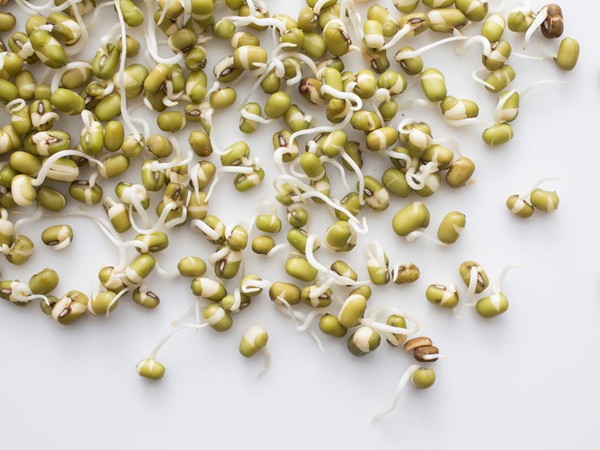 Homegrown sprouts