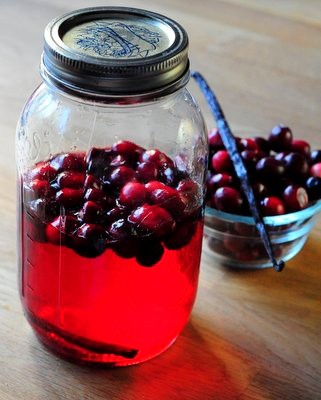 Homemade cranberry vanilla vodka