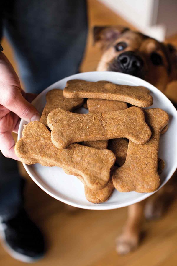 Homemade dog treats