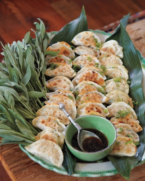Homemade dumpling wrappers