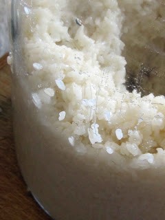 Homemade fermented rice (Zizhi jiuniang /自制酒釀)