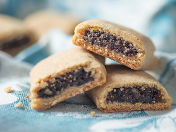 Homemade Fig Newtons 